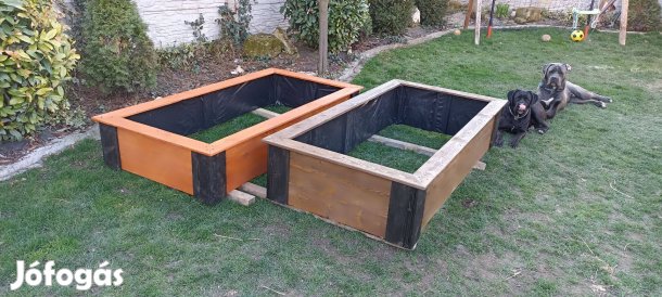 Bio Garden Box