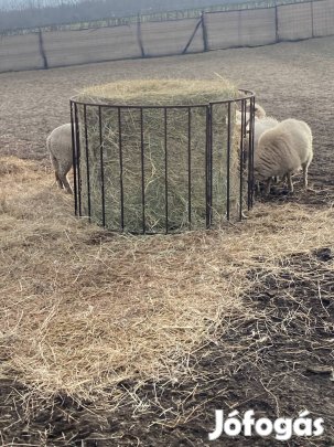 Birka juh köretető