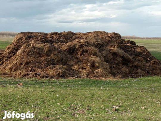 Birka trágya eladó