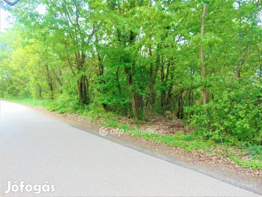 Bocföldei 5984 nm-es telek eladó