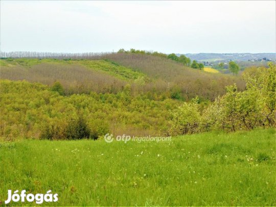 Bocföldei eladó 2182 nm-es telek