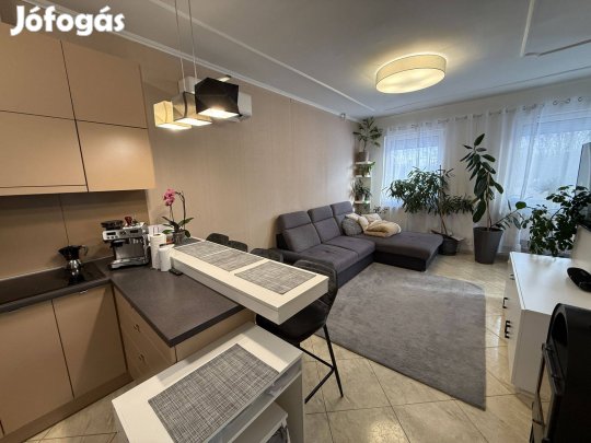 Bocskaikerti újszerű családi ház néhány Extra felszereléssel Sos elad