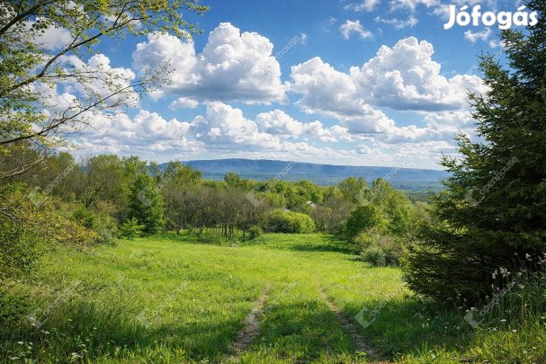 Bodajkon zárkerti kivett telek eladó