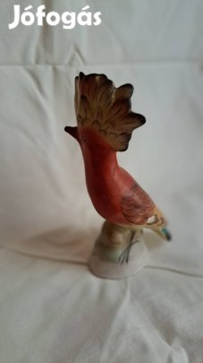 Bodrogkeresztúri kakadu porcelán