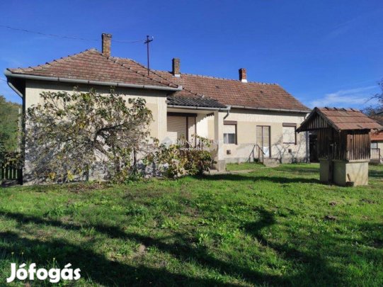 Bodrogon eladó családi ház