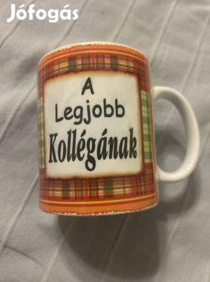 Bögre-a legjobb kollégának