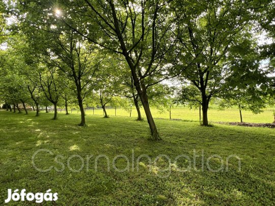 Bogyoszló - széles telek eladó