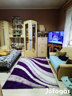 Bökönyben több család összeköltözésére alkalmas ház eladó