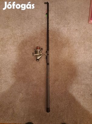 Bolonyai bot orsóval