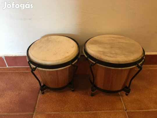 Bongo set dob