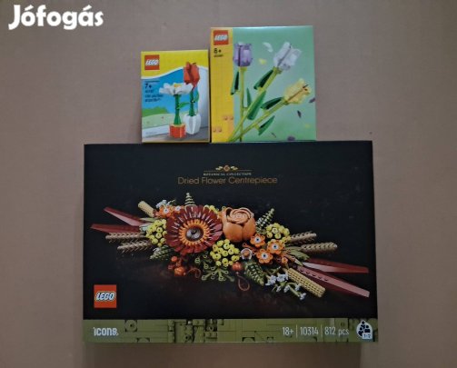 Bontatlan LEGO Creator 40461 + 40187 + Botanical Collection 10314 után