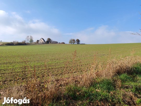 Bonyhád-Börzsönyben nagy terület festői környezetben eladó!