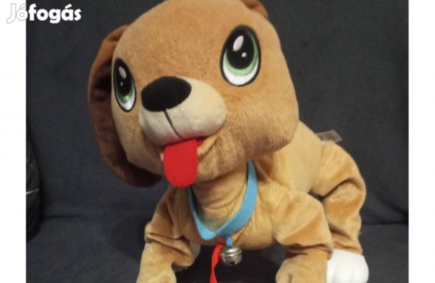 Boogie sétáló kutya