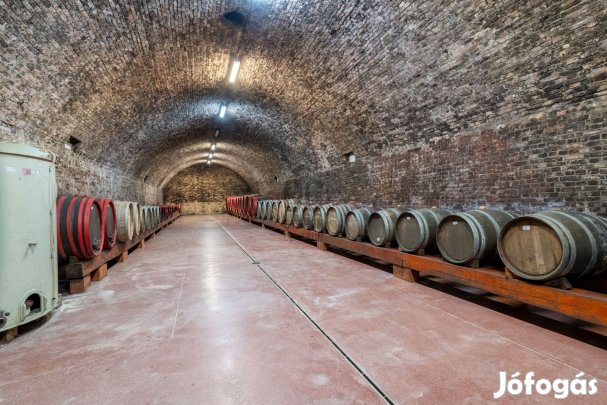 Borászat eladó - Móri eladó üzleti célú ingatlan