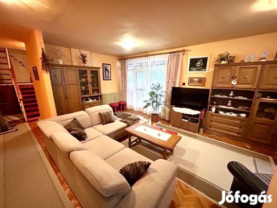 Borbányán 4 szobás, 2 nappalis, dupla komfortos családi ház eladó