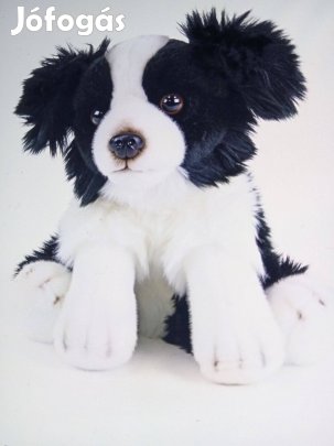 Border collie plüss állat figura!