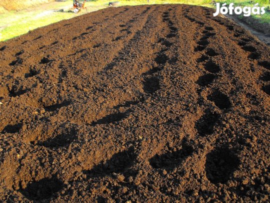 Borjú Trágya javítva. növények palánta magaságyás magok ciprus növény