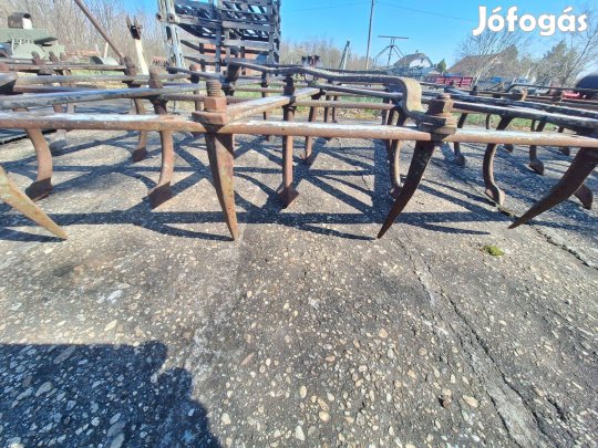 Borona tagok eladók