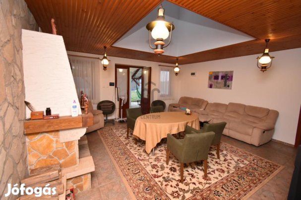 Borsfai 664 nm-es ház eladó