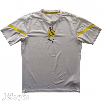 Borussia Dortmund 2021-22 Puma training foci mez M-es