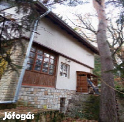 Börzsönyligeten négy szobás családi ház eladó