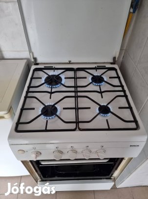Bosch sütő csere is 