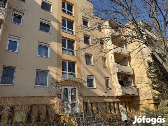 Botev utcai 1+3 félszobás lakás eladó