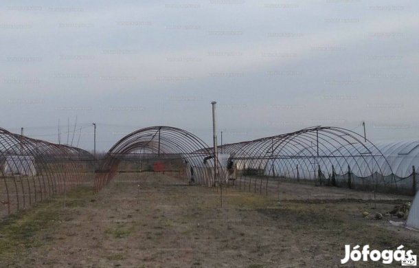 Bővíthető telek eladó