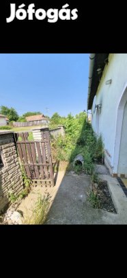 Bozótirtás, telektisztítás, udvar takarítás, lomtalanítás