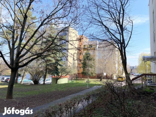 Bp. 16./ Mátyásföld/ Felújított/ I. emeleti/ Napfényes/ Erkélyes lakás