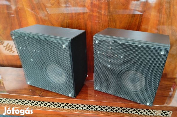 Braun LSV hangszóró