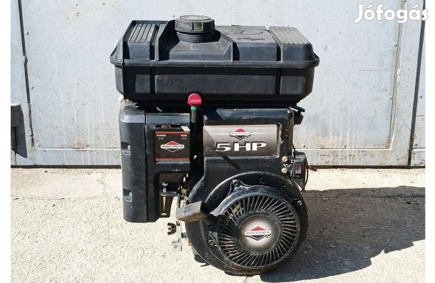 Briggs 5 Le benzin stabil motor