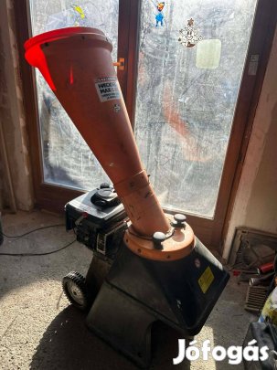 Briggs&Stratton motoros benzines ágaprító