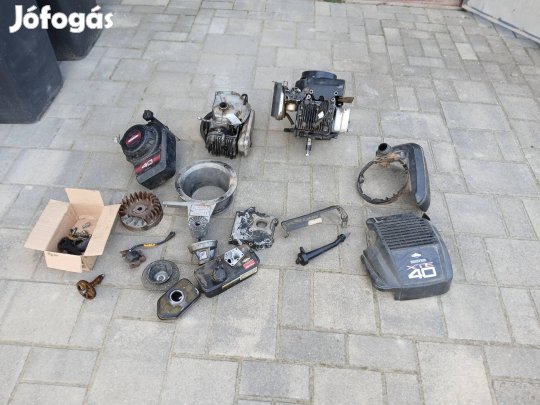 Briggs & Stratton motor
