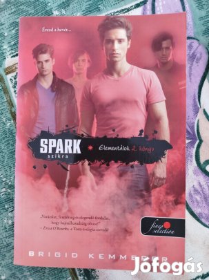 Brigid Kemmerer - Szikra