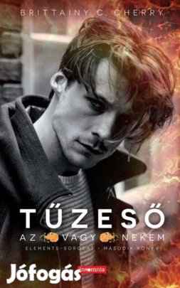 Brittainy C. Cherry Tűzeső Elements Az vagy nekem 2