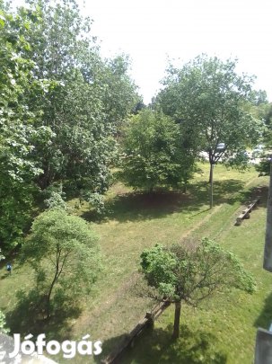 Budapest 17.kerületi, 74nm-es öröklakás eladó!