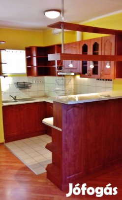Budapest XI. kerületi 45 m2-es tégla lakás eladó