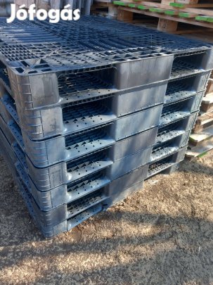 Budapesti. Debreceni galamb csere is