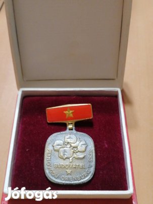 Budovatel Orenburg érem