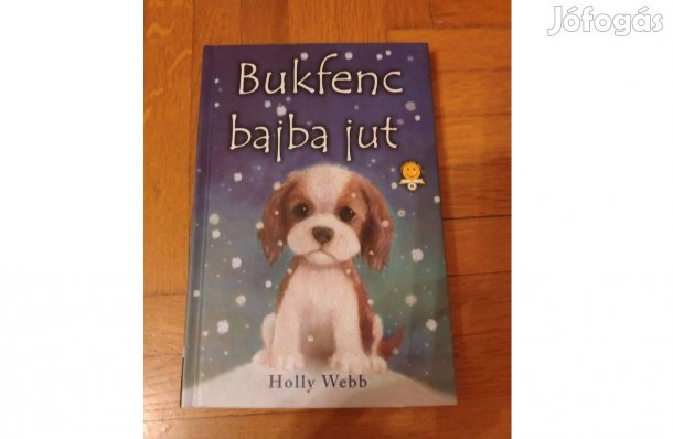 Bukfenc bajba jut
