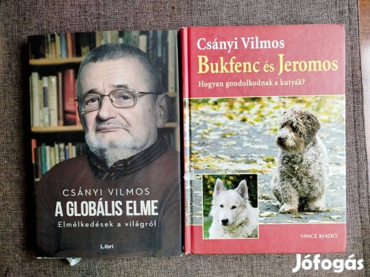 Bukfenc és Jeromos Csányi Vilmos