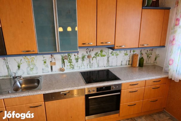 Bükk frontos DAN konyha gépekkel - Miele, AEG, Bosch - Azonnal Vihető