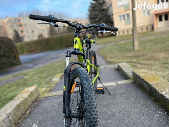 Bulls Tokeen 24 Disc