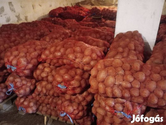 Burgonya eladó