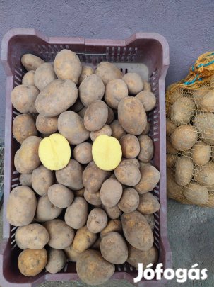 Burgonya eladó!