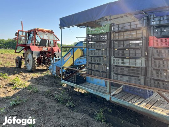 Burgonya kombájn eladó