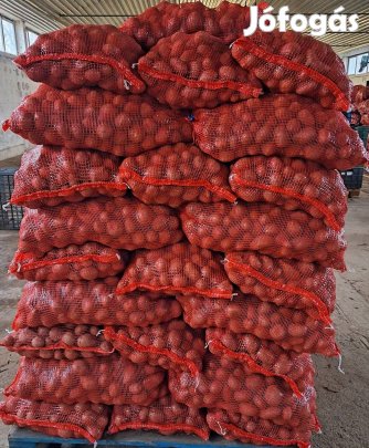 Burgonya vető méretű (apró)