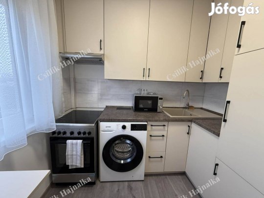 Bútorozott, gépesített felújított kiadó lakás