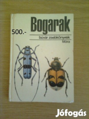 Búvár zsebkönyvek: Bogarak